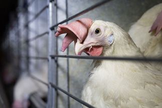 Room for more funding