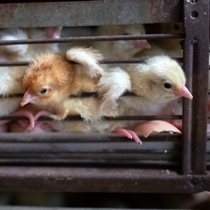 Are we working on the right problem?